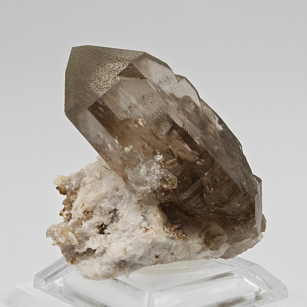 Smoky quartz with chlorite, Switzerland! Great color. Crystals on matrix - Height: 43 mm - Width: 35 mm- 31 g #4.3