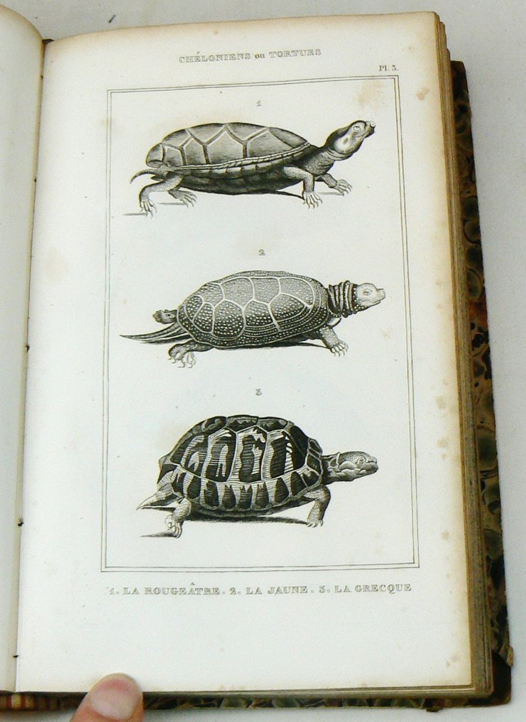 Bernard-Germain-Étienne de La Ville-sur-Illon, comte de Lacépède - Oeuvres de la Comte de Lacépède, comprenant l'histoire naturelle [...] - 1836 #3.2