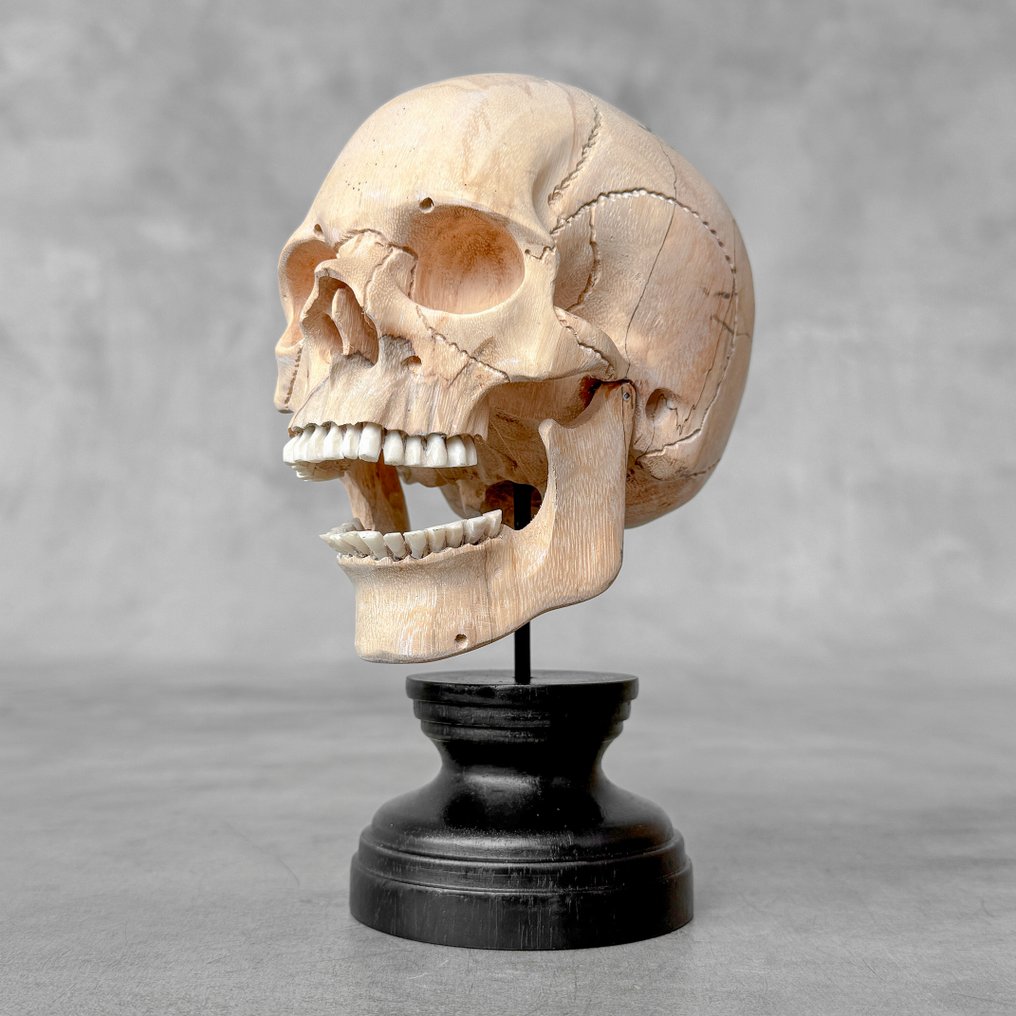 Σκάλισμα, NO RESERVE PRICE - Stunning Wooden Human Skull With A Beautiful Grain on a custom stand - 18 cm - Tamarindus - 2025 #4.3