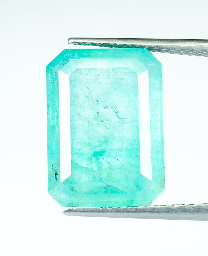 沒有保留價 祖母綠  - 8.75 ct - Bellerophon Gemlab - 蓝绿色（尼日利亚） #2.1
