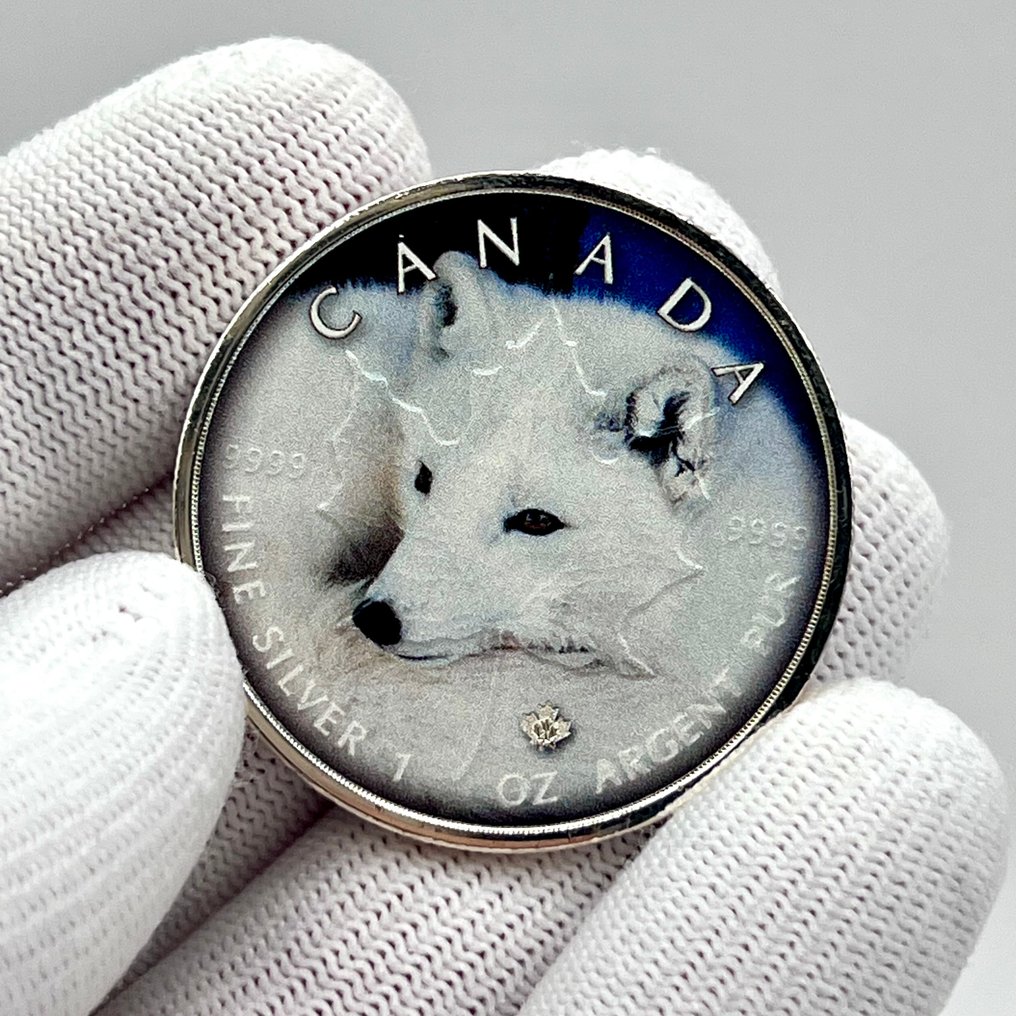Canada. 5 Dollars 2020 – Canada’s Wildlife – Polar Fox (Coin #2) – 1 oz Silver coin .9999 – Colorized #1.0