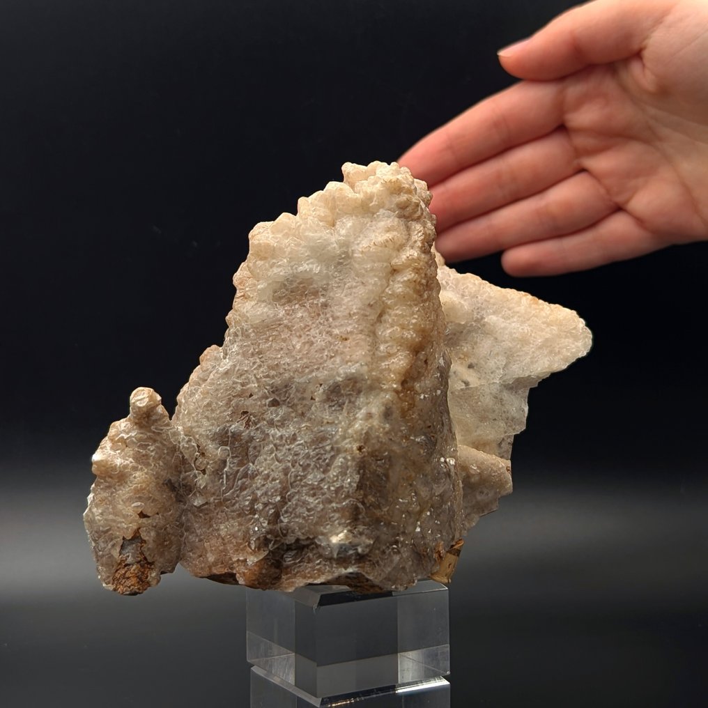 Large scalenohedral calcite covered by glossy calcite, Sardinia Crystals on matrix - Height: 156 mm - Width: 132 mm- 948 g #1.0