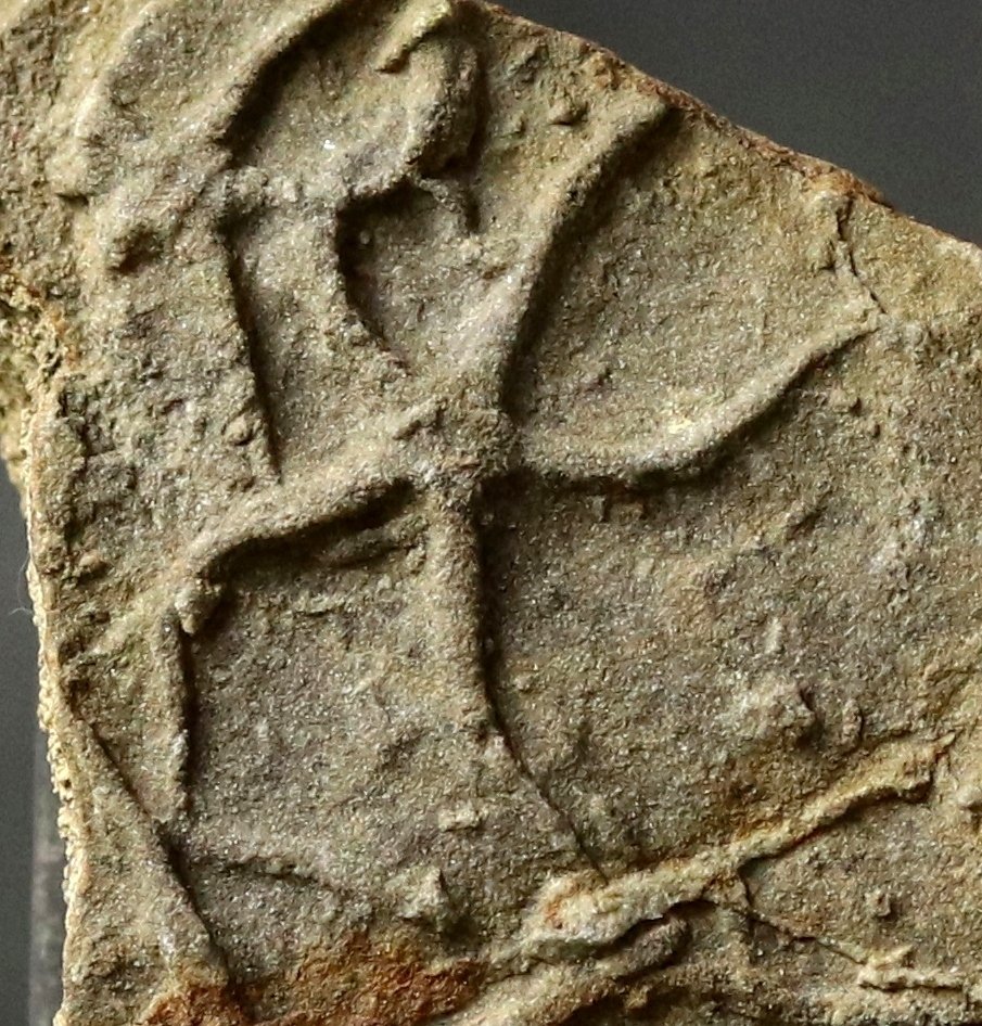 Ichnofossiel - Elegante zeester - Fossiele matrix - Asteriacites lumbricalis - 6.2 cm - 5.4 cm  (Zonder Minimumprijs) #2.1