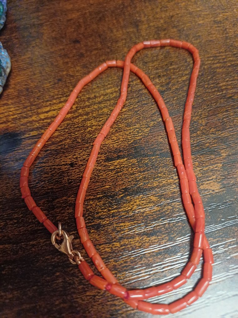 Red Coral Κοράλλι - Corallium rubrum  (χωρίς τιμή ασφαλείας) #4.3