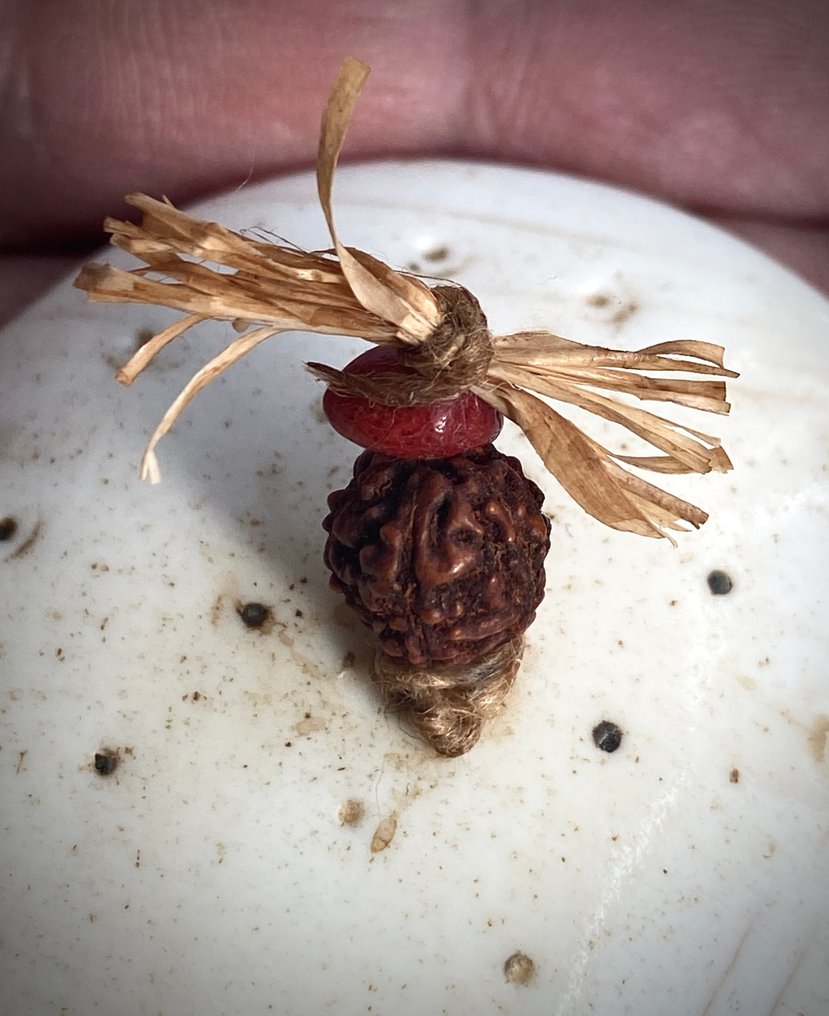 纳加族部落耳环，采用贝壳、木头和红色种子制成——纳戈兰 - Konyak，Ao 或 Angami - 印度 #3.2