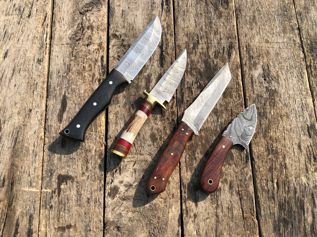 Μαχαίρι κουζίνας - Εξαιρετικά χειροποίητα μαχαίρια Skinners, σφυρηλατημένο ατσάλι, κέρατο ελάφου, ξύλο και σπάνια λαβή - Βόρεια Αμερική - Δερμάτινη Θήκη A73 #4.3