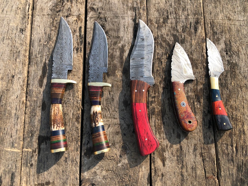 厨刀 - 著名的手工制作Skinners刀，锻钢，鹿角，木材及稀有柄 - 北美 - 皮套（A44） #4.3