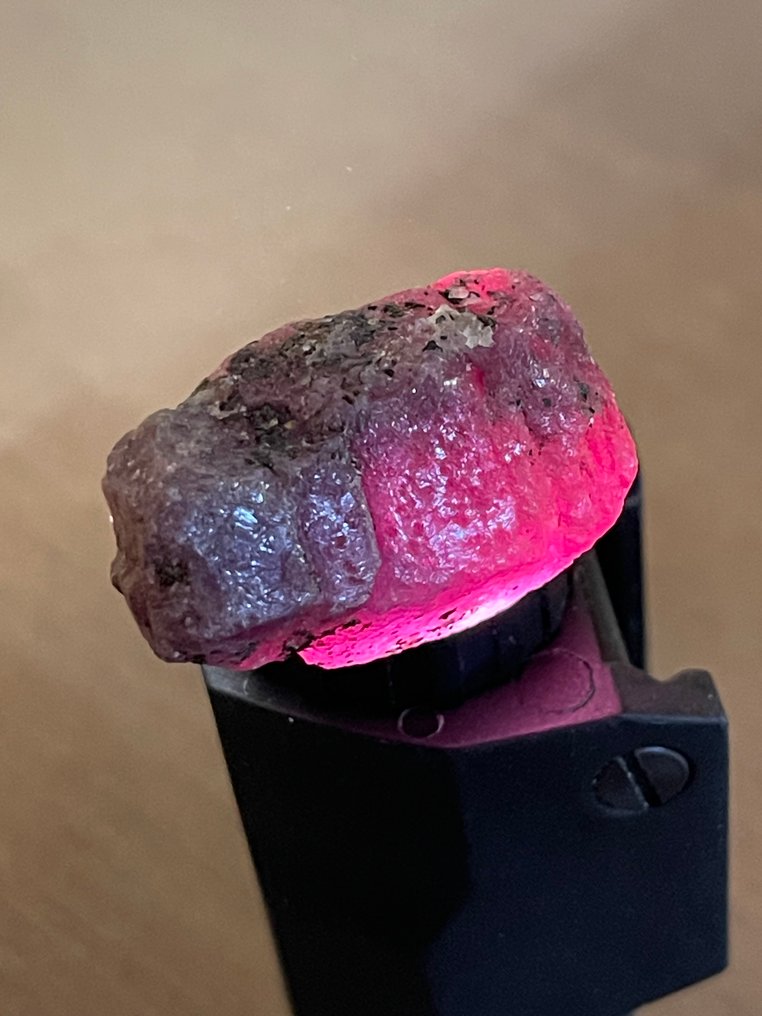 红宝石 惊艳的红宝石！卓越的颜色。116克拉，缅甸百分之百天然六角形红宝石。 - 高度: 30 mm - 宽度: 20 mm- 23.2 g #1.0