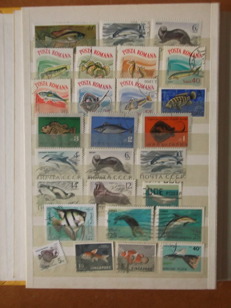 Lumea  - Colecție tematică de faună conform descrierii. #3.2