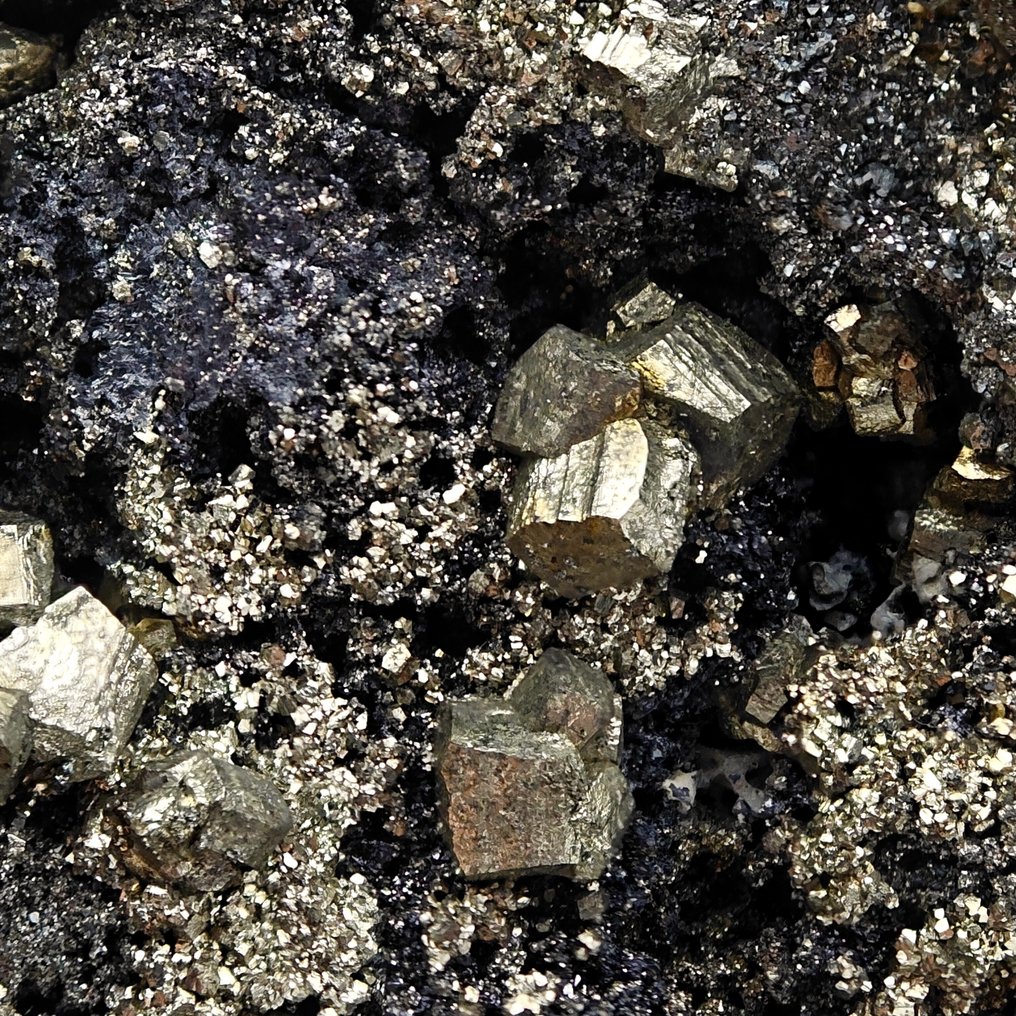 Golden pyrites with black sphalerite, Romania. Crystals on matrix - Height: 113 mm - Width: 96 mm- 535 g #4.3