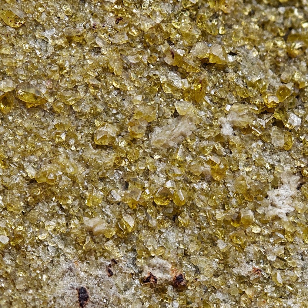 1000+ crystals of TOPAZOLITE, Green Garnets, Italy Crystals on matrix - Height: 156 mm - Width: 80 mm- 2.29 kg #2.1