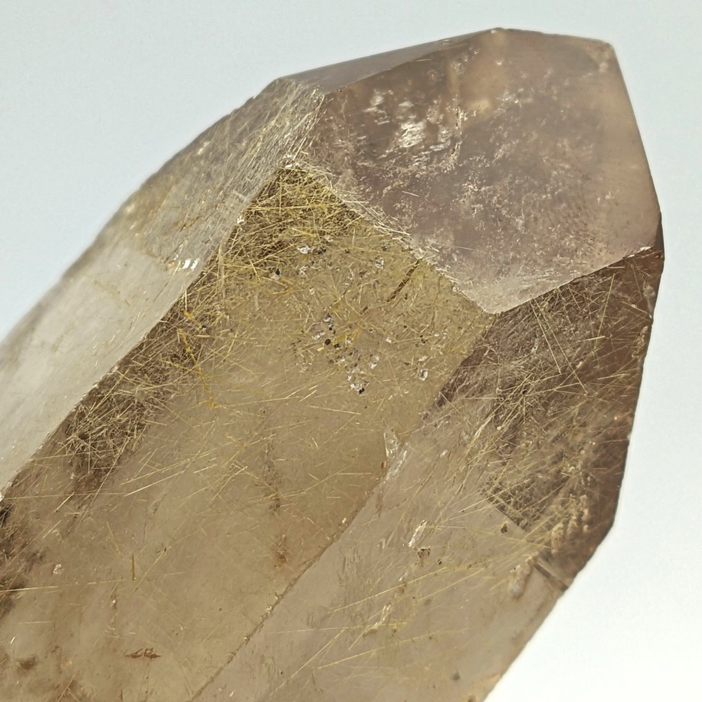 粗大烟熏石英,金色金红石,巴西 水晶 - 高度: 85 mm - 闊度: 42 mm- 223 g #2.1