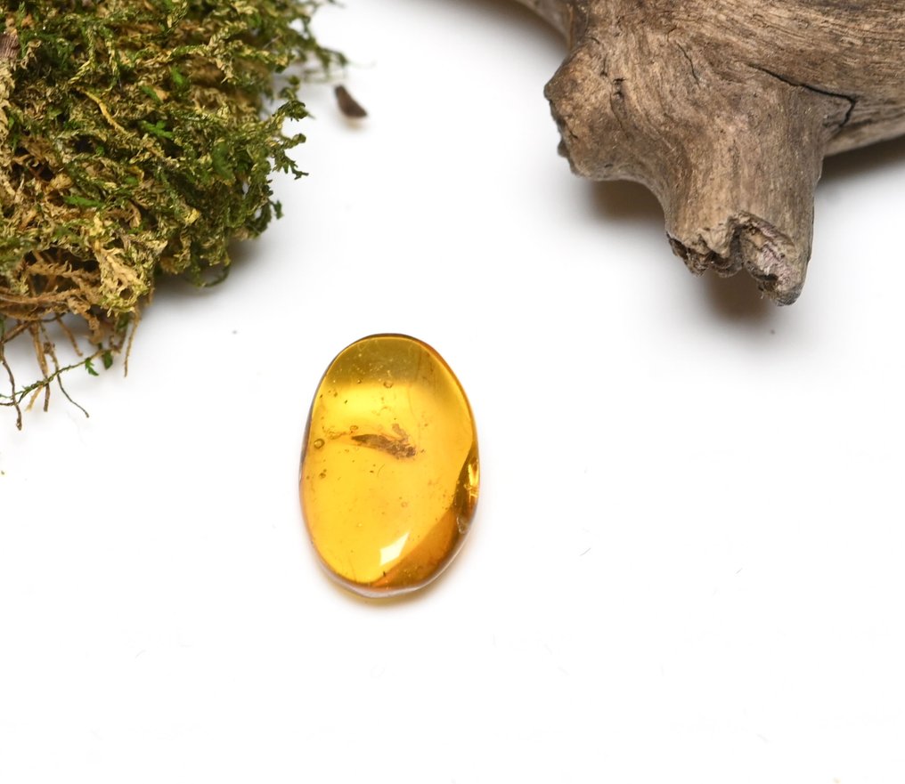 Burmesisk bärnsten - Fossil cabochon - with Detailed Psocoptera (Booklice) fossil insect inclusion (Utan reservationspris) #3.2