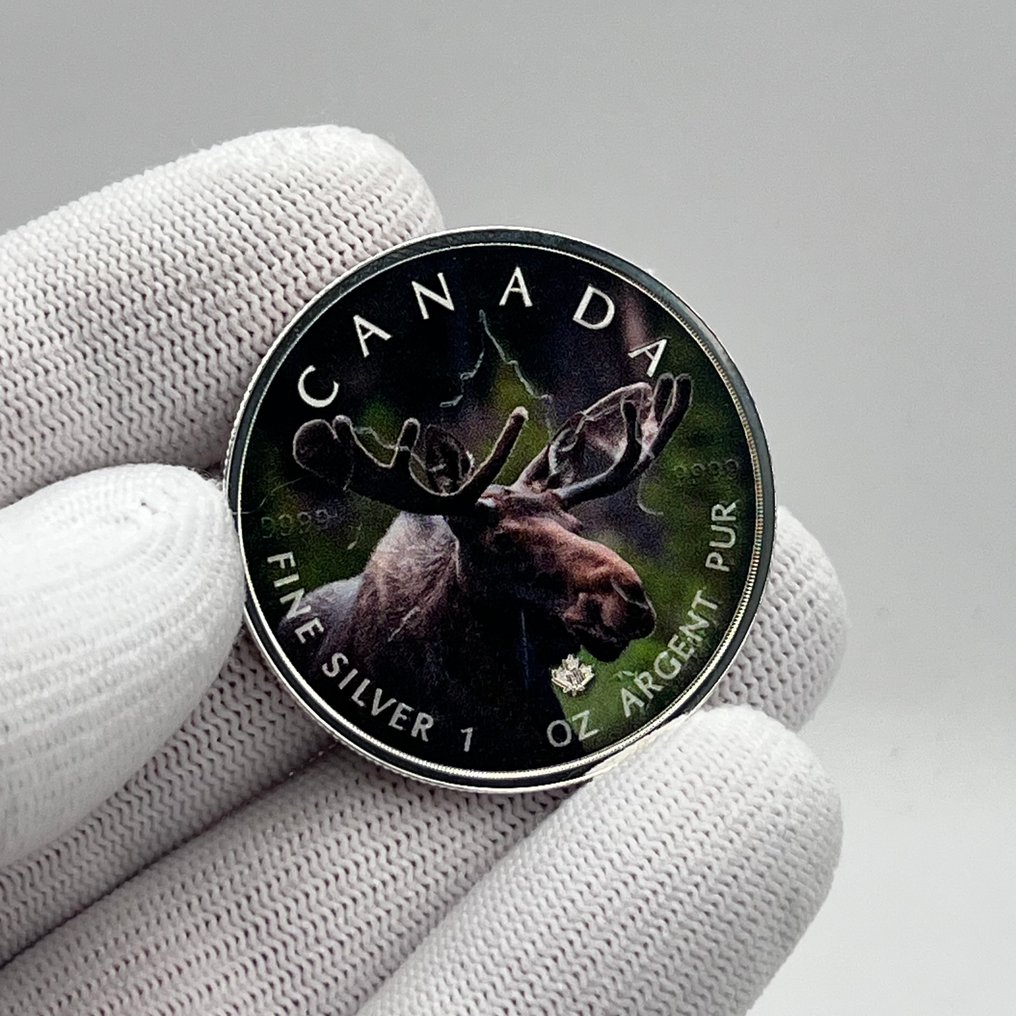 Canada. 5 Dollars 2020 – Canada’s Wildlife – Moose (Coin #1) – 1 oz Silver coin .9999 – Colorized #1.0
