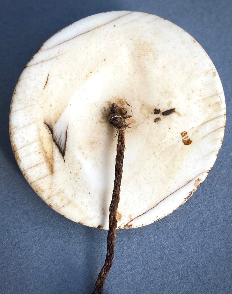 纳加族部落耳环，采用贝壳、木头和红色种子制成——纳戈兰 - Konyak，Ao 或 Angami - 印度 #2.1