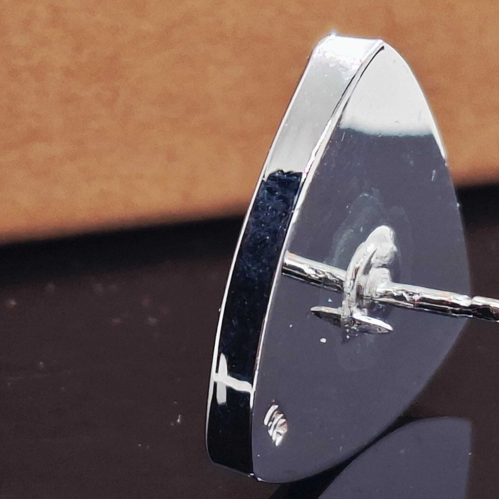 18K层压白金 - 胸针 - Tesla #1.0