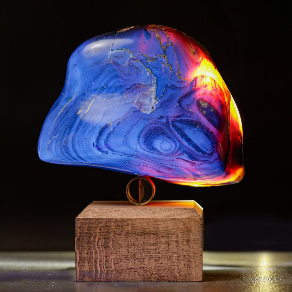 来自苏门答腊的化石琥珀标本——稀有样本，色彩对比非凡——雅致木材 - 高度: 159 mm - 宽度: 133 mm- 667 g #1.0