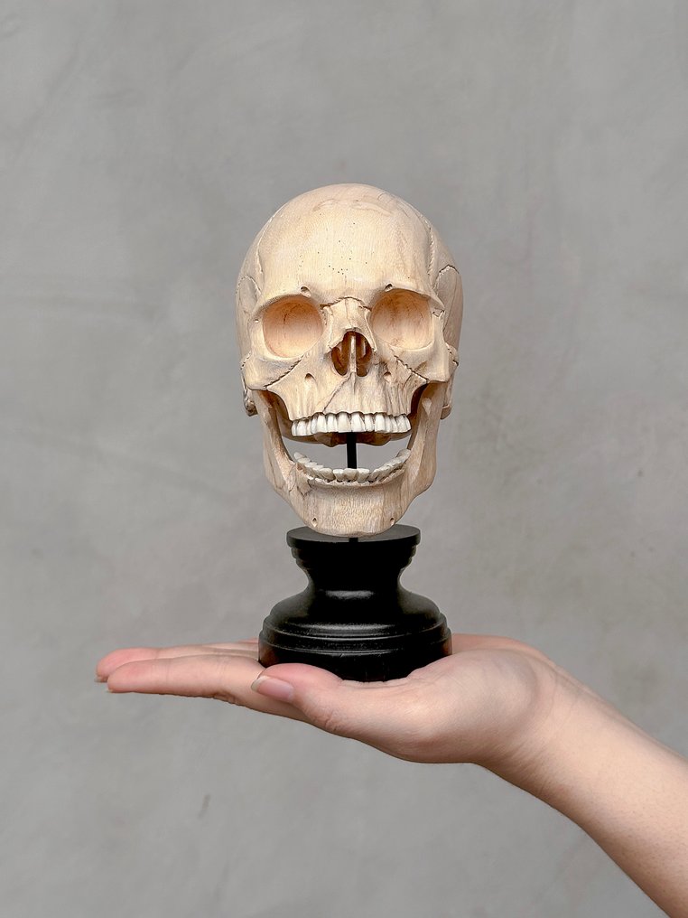 Σκάλισμα, NO RESERVE PRICE - Stunning Wooden Human Skull With A Beautiful Grain on a custom stand - 18 cm - Tamarindus - 2025 #2.1