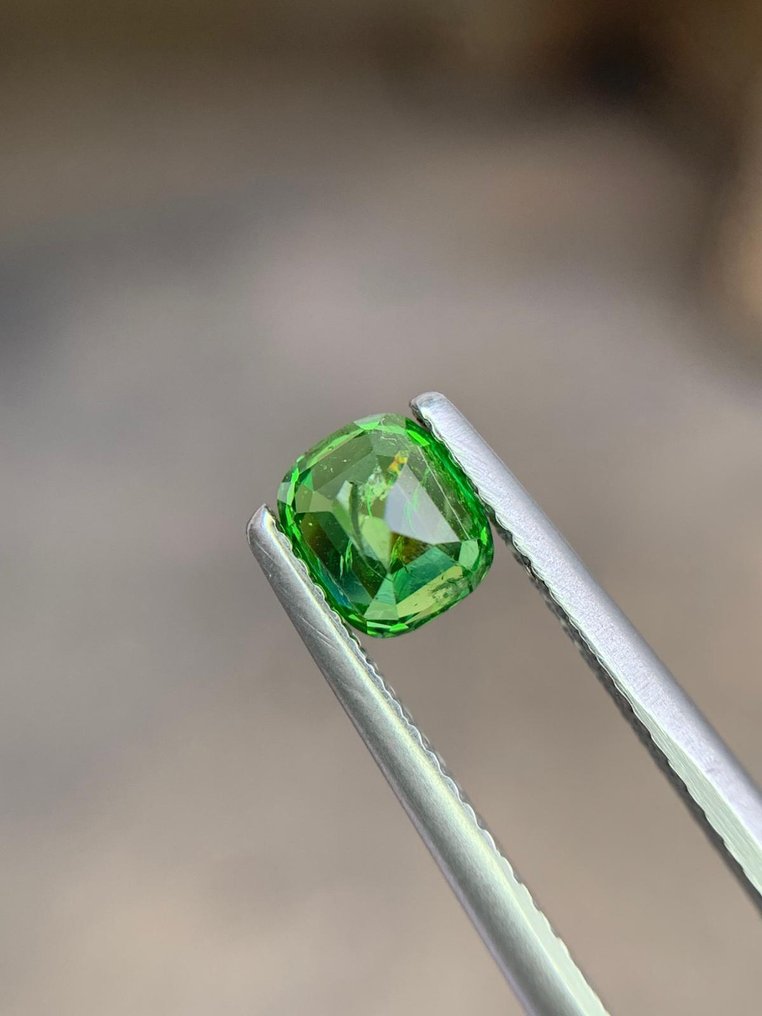 No Reserve Price Green Tsavorite  - 1.17 ct - International Gemological Institute (IGI) #4.3