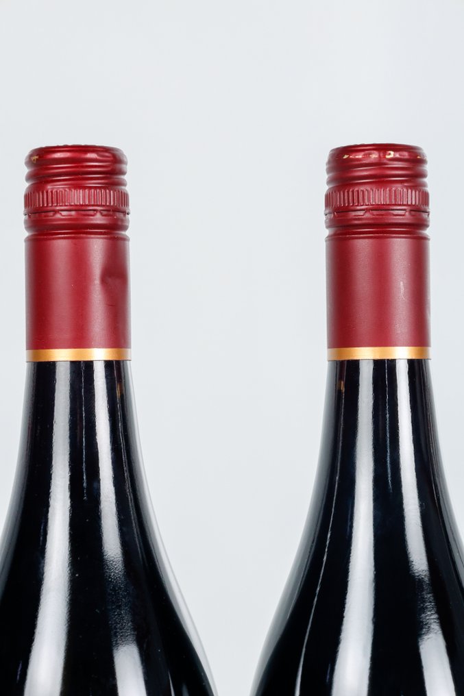 2013 Ata Rangi, Pinot Noir - Martinboroug - 2 Bottles (0.75L) #3.2