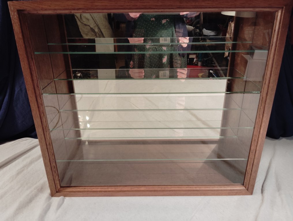 Handwerksarbeit H0 - Modeltrein (1) - Kleine vitrine voor locomotieven, 5 rijen, spiegelhintergrund #3.2