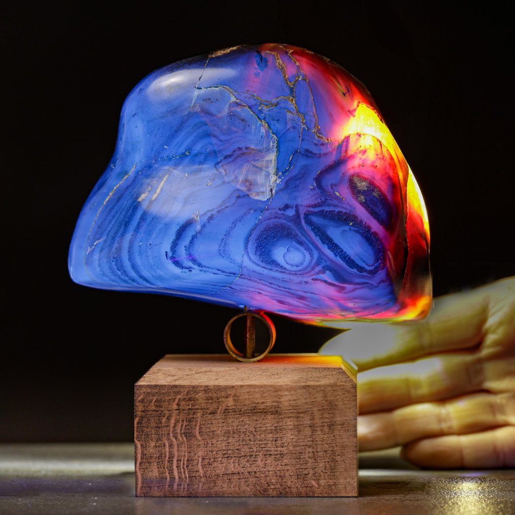 来自苏门答腊的化石琥珀标本——稀有样本，色彩对比非凡——雅致木材 - 高度: 159 mm - 宽度: 133 mm- 667 g #1.0