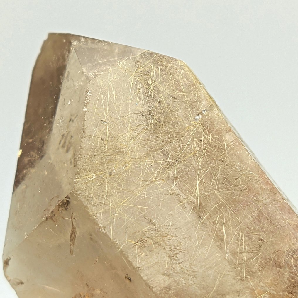 粗大烟熏石英,金色金红石,巴西 水晶 - 高度: 85 mm - 闊度: 42 mm- 223 g #1.0