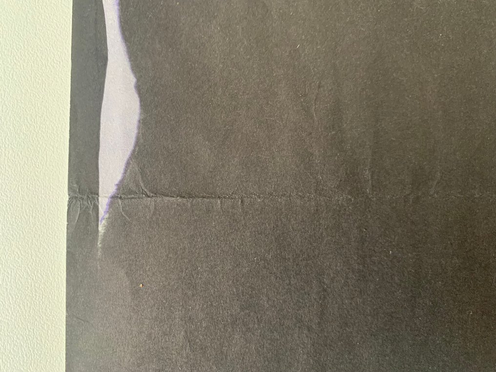 King Kong - John Guillermin - Hollywood Collectibles #2.1