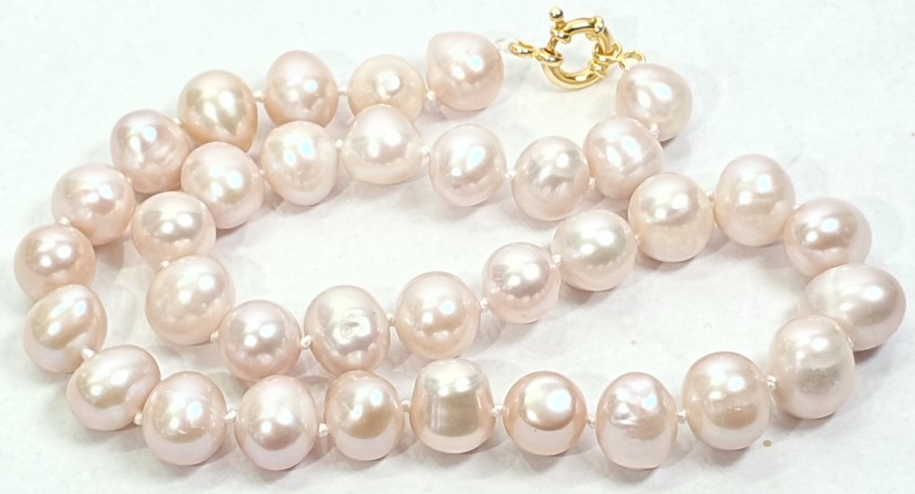 Natuurlijke roze parels, zoet water - ZEER GROOT - Rust & kalmte - 925 zilver met vergulding - Halsketting #3.2