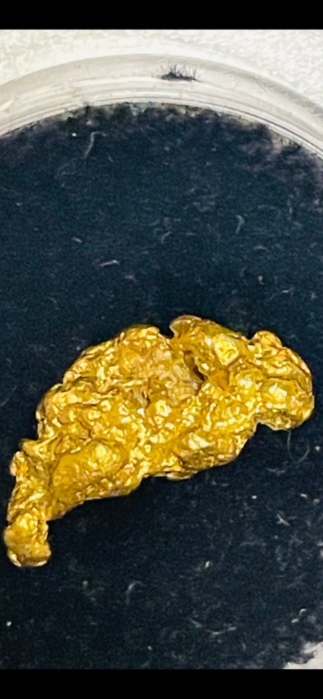 Gold Nugget- 1.96 g - (1) #1.0