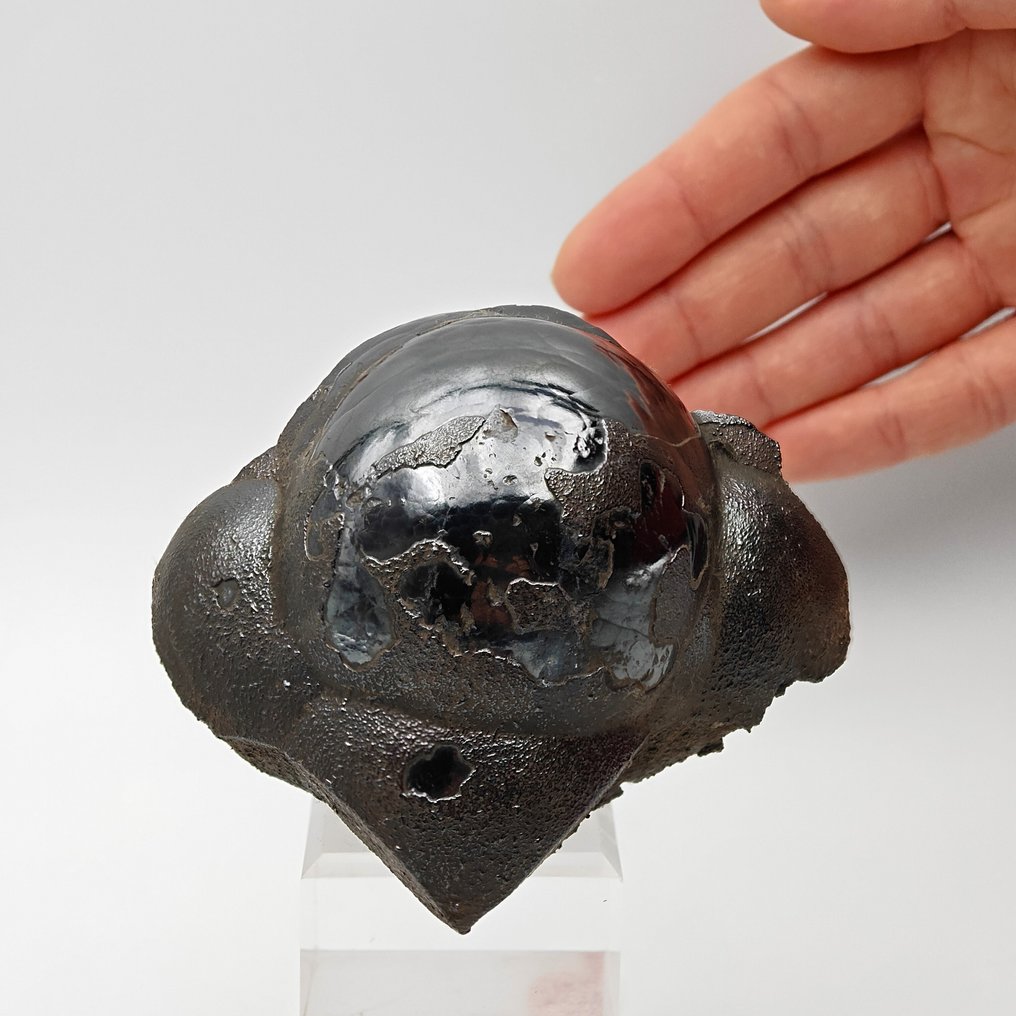 Rare shiny mammillary hematite, Bucata, Morocco Crystals on matrix - Height: 88 mm - Width: 81 mm- 395 g #1.0