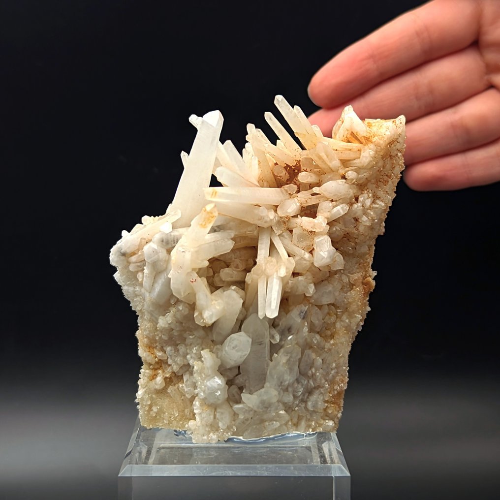 Intreccio of MILKY QUARTZ, Sardinia, Rare and Unobtainable Crystals on matrix - Height: 123 mm - Width: 78 mm- 211 g #1.0