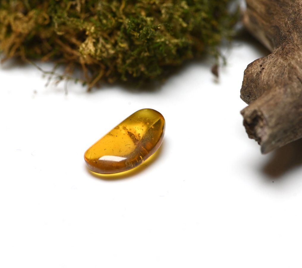 Burmesisk bärnsten - Fossil cabochon - with Detailed Psocoptera (Booklice) fossil insect inclusion (Utan reservationspris) #4.3