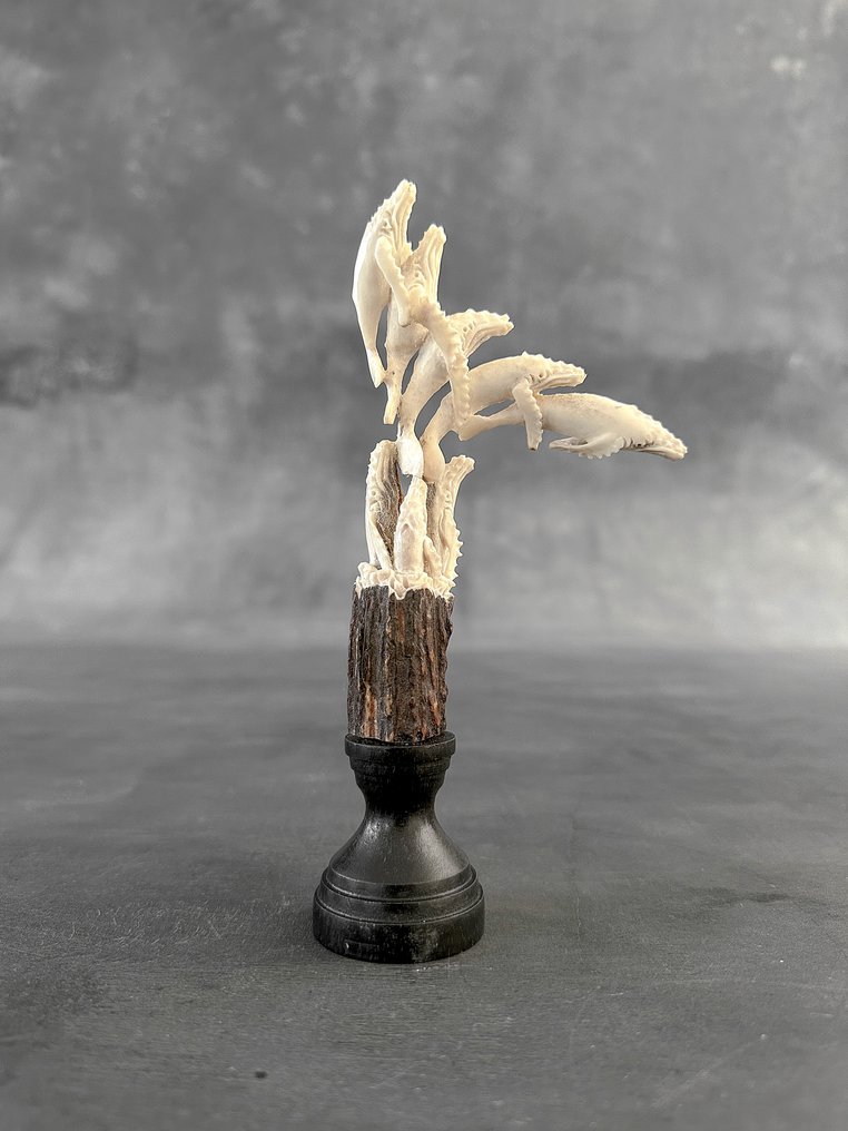 Talla, NO RESERVE PRICE - Blue Whales carving from Deer Antler on a custom stand - 17 cm - Cornamenta de ciervo - 2025 #2.1