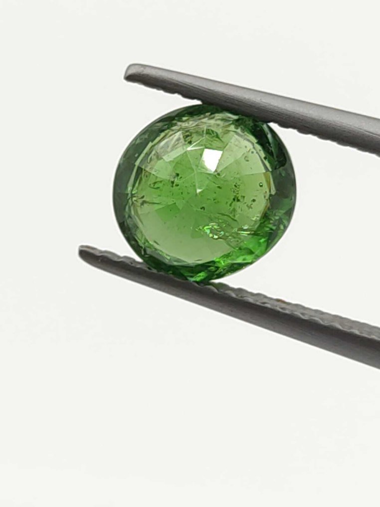 No Reserve Price - 1 pcs  Green Tsavorite  - 2.17 ct - Antwerp Laboratory for Gemstone Testing (ALGT) #4.3