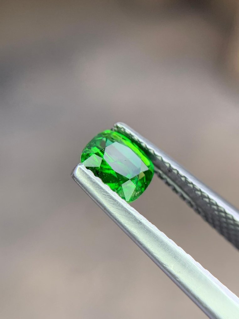 No Reserve Price Green Tsavorite  - 1.17 ct - International Gemological Institute (IGI) #1.0