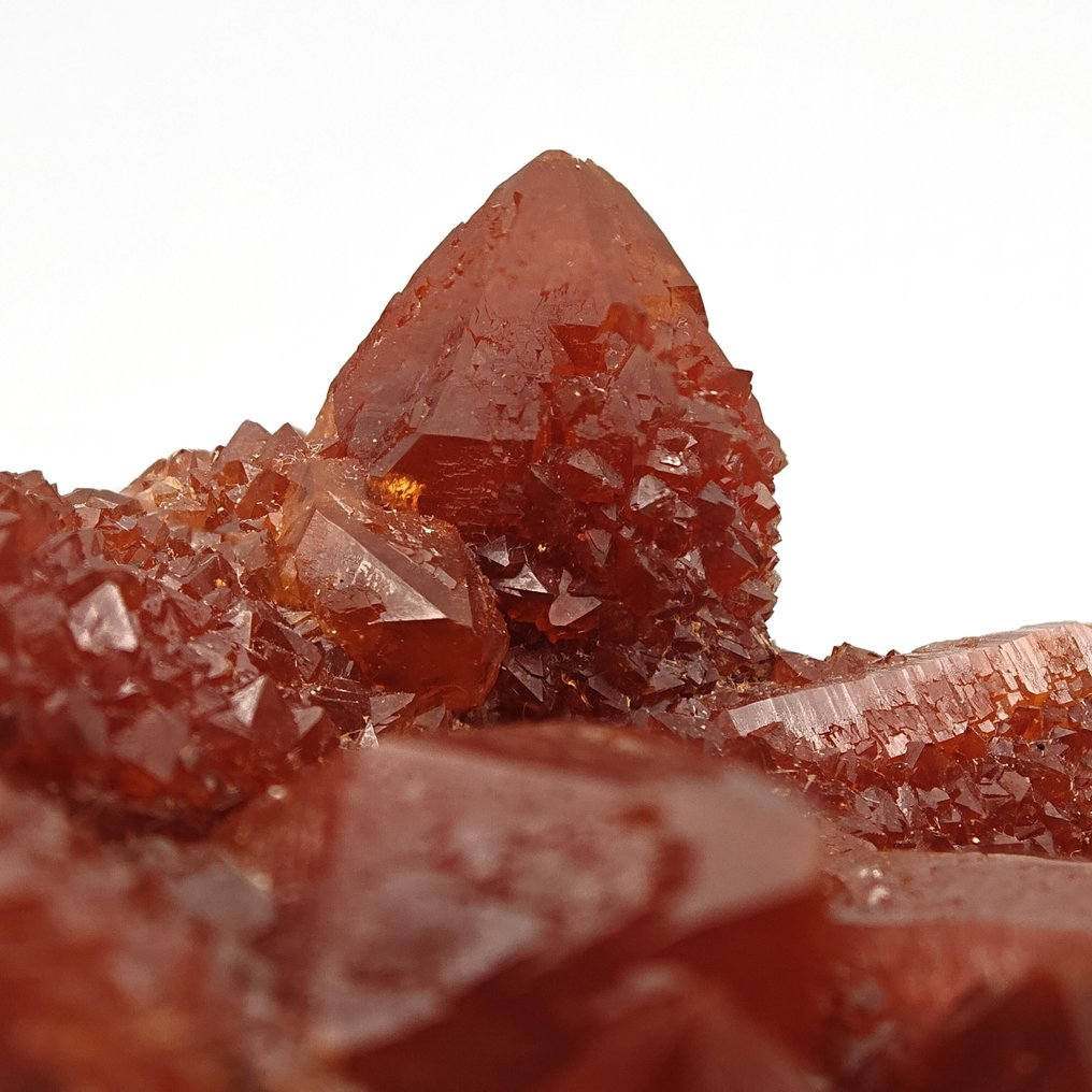 CACTUS 由红血玉石组成,优雅 矩陣晶體 - 高度: 105 mm - 闊度: 47 mm- 127 g - (1) #2.1