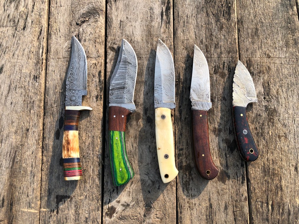 Μαχαίρι κουζίνας - Εξαιρετικά χειροποίητα μαχαίρια Skinners, σφυρηλατημένο ατσάλι, κέρατο ελάφου, ξύλο και σπάνια λαβή - Βόρεια Αμερική - Δερμάτινες θήκες (A17) #4.3