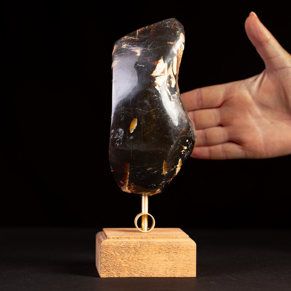 Fossilbärnstenprov från Sumatra - sällsynt prov med enastående färgkontraster - elegant trä - Höjd: 237 mm - Bredd: 87 mm- 696 g #4.3