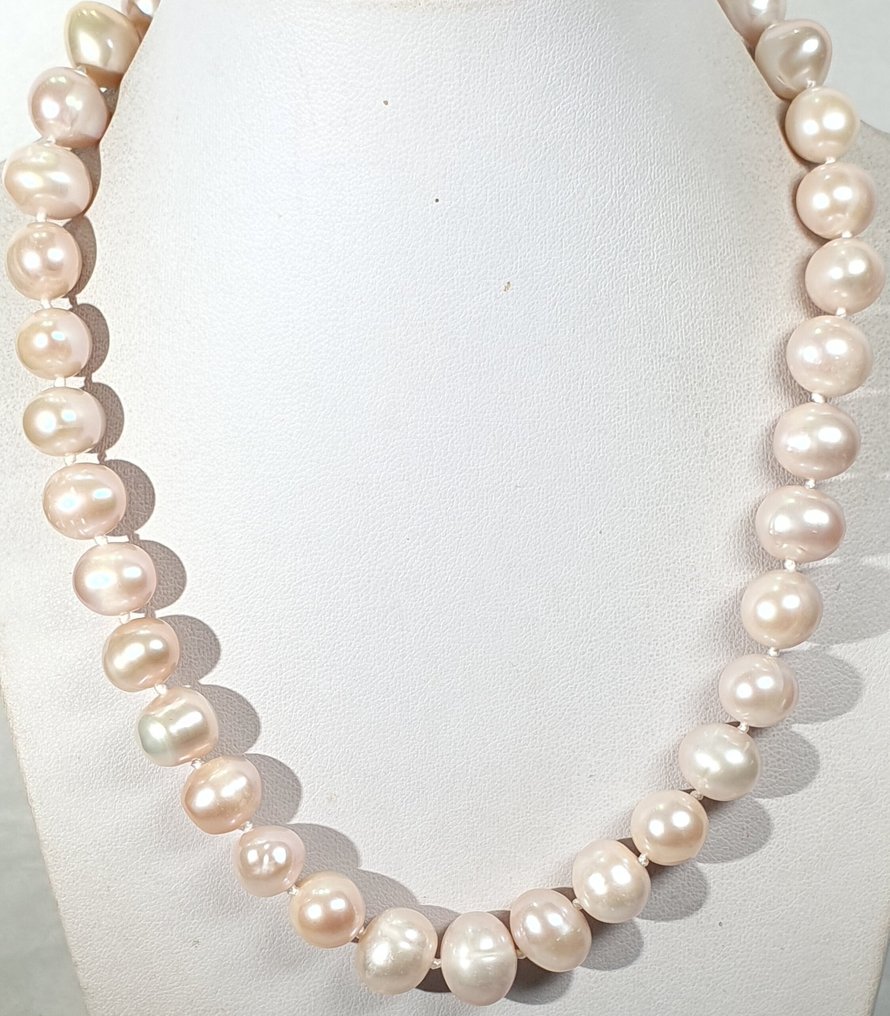 Natuurlijke roze parels, zoet water - ZEER GROOT - Rust & kalmte - 925 zilver met vergulding - Halsketting #1.0