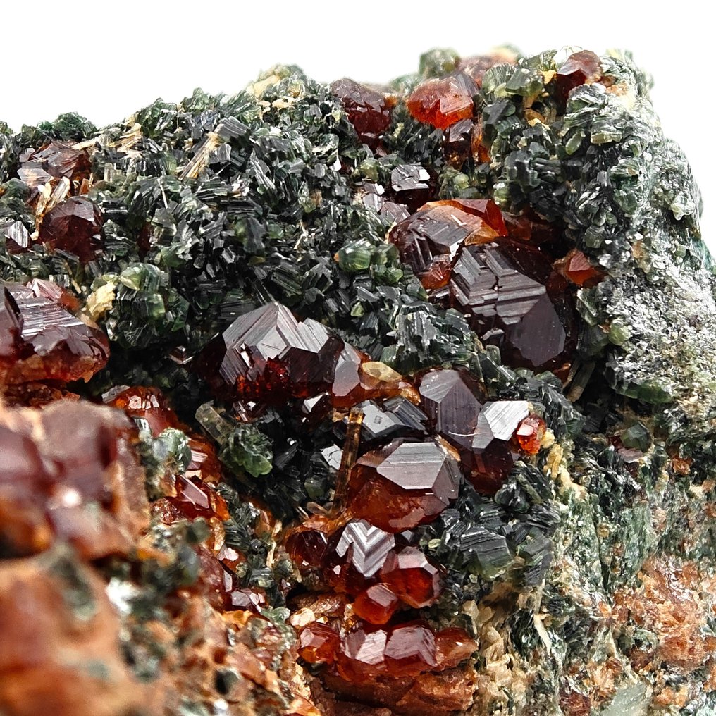 Hessonite garnet red with clinochlore, Italy. Crystals on matrix - Height: 53 mm - Width: 50 mm- 77 g #1.0