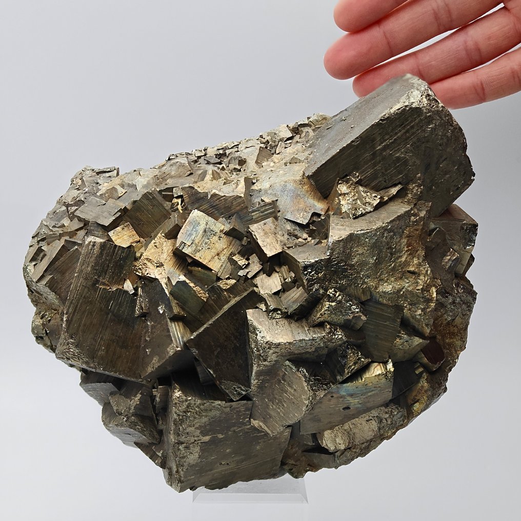 ENORME PIRITE DORATA con CRISTALLI CUBICI, Italia Cristalli su matrice - Altezza: 155 mm - Larghezza: 116 mm- 3.24 kg #1.0