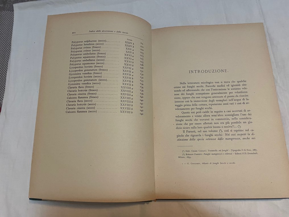 Dott. G. Gagliardi - Funghi freschi e secchi, commestibili e velenosi - 1930 #4.3
