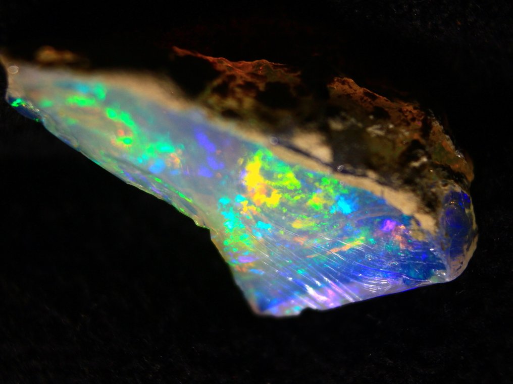 11.00克拉埃塞俄比亚璀璨欧泊收藏品 粗糙 - 高度: 29 mm - 闊度: 15 mm- 2.2 g #4.3