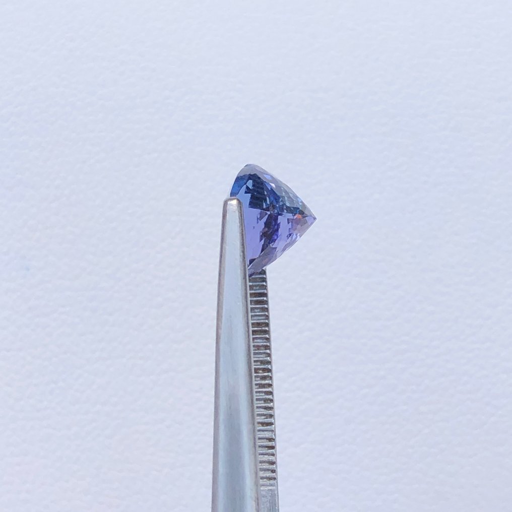 没有保留价 - 1 pcs  蓝色, 紫罗兰色 坦桑石  - 2.76 ct - 国际宝石研究院（IGI） #4.3