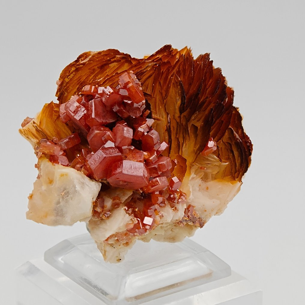 Blood-red vanadinite storm on orange barite Crystals on matrix - Height: 58 mm - Width: 42 mm- 107 g #4.3