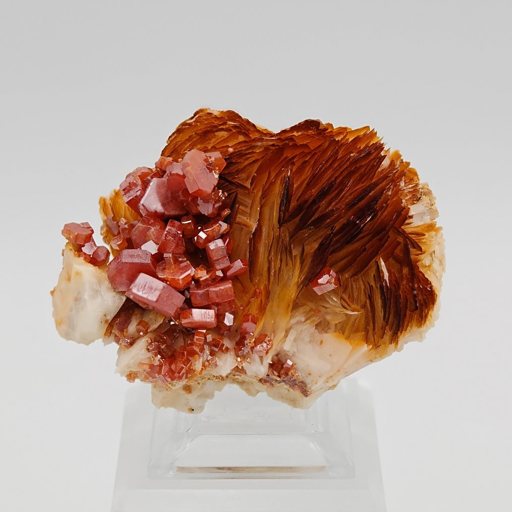 Blood-red vanadinite storm on orange barite Crystals on matrix - Height: 58 mm - Width: 42 mm- 107 g #2.1