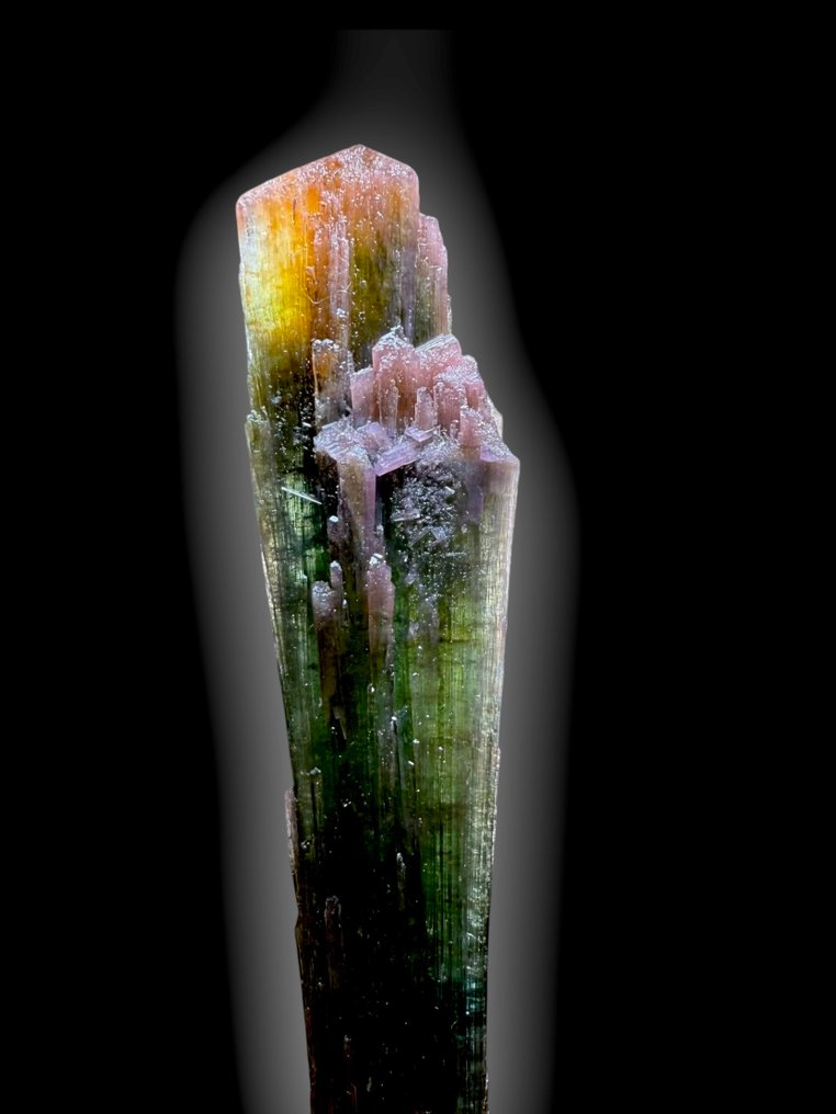 Grande tourmaline fascicolata multicolore – 434 ct - Altezza: 11 cm - Larghezza: 2 cm- 87 g #1.0