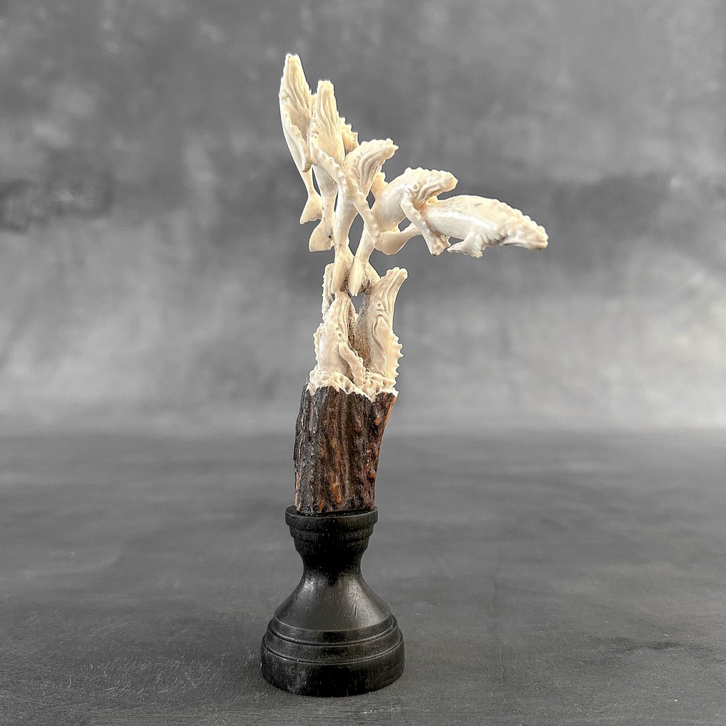 Talla, NO RESERVE PRICE - Blue Whales carving from Deer Antler on a custom stand - 17 cm - Cornamenta de ciervo - 2025 #4.3