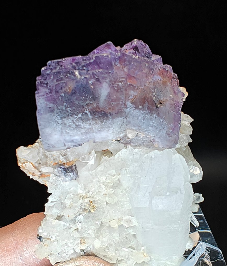 Fluorite Purple crystal on quartz - Height: 5 cm - Width: 4 cm- 100 g #1.0